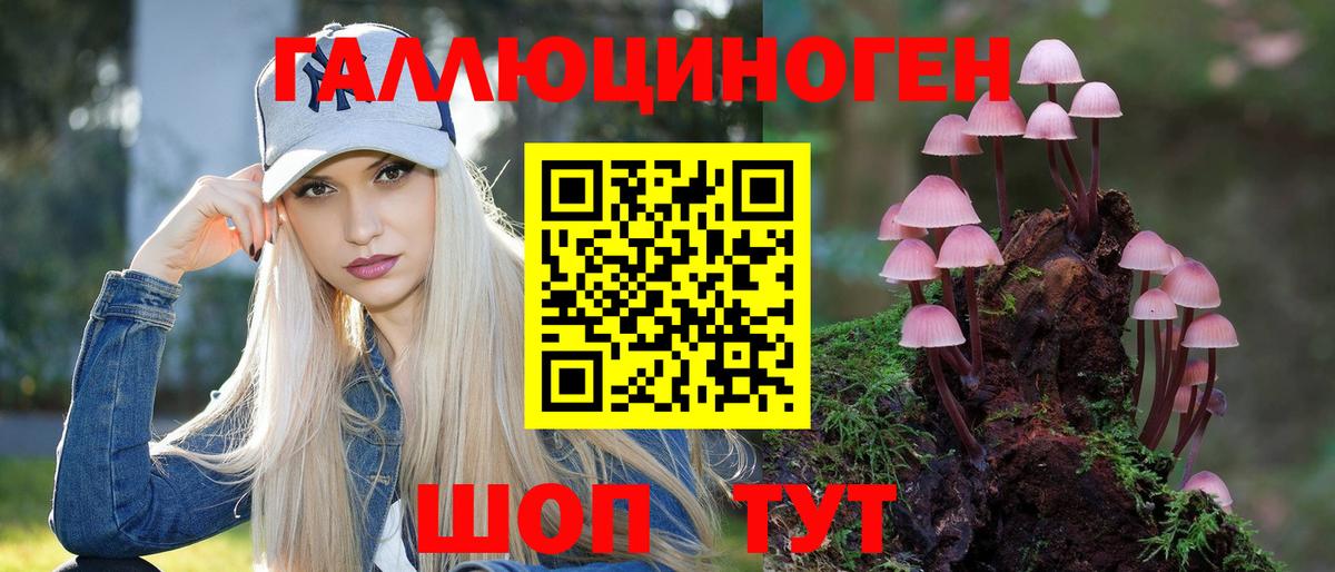 Псилоцибиновые грибы GOLDEN TEACHER Дзержинский